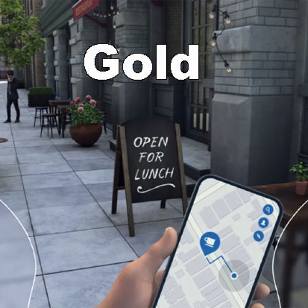 Varifocal GOLD - Semi rimed frame